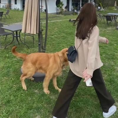 像两滴水